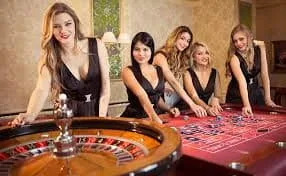 397pk Blackjack Showdown